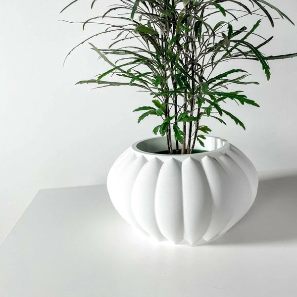 Vaso de Plantas Bunos