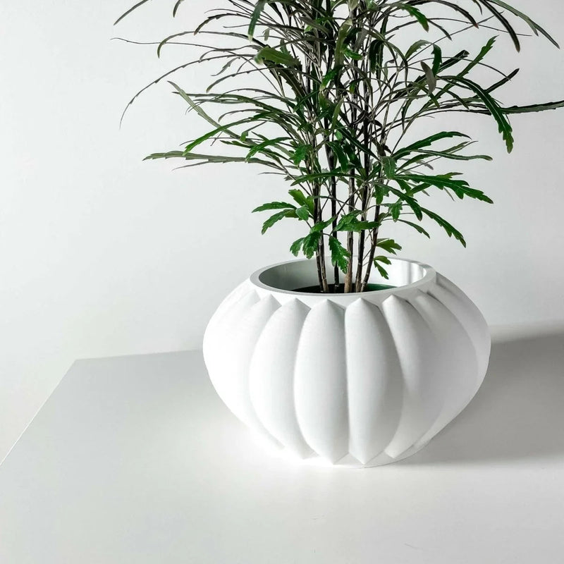 Vaso de Plantas Bunos