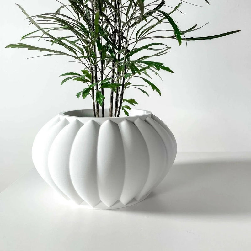 Vaso de Plantas Bunos