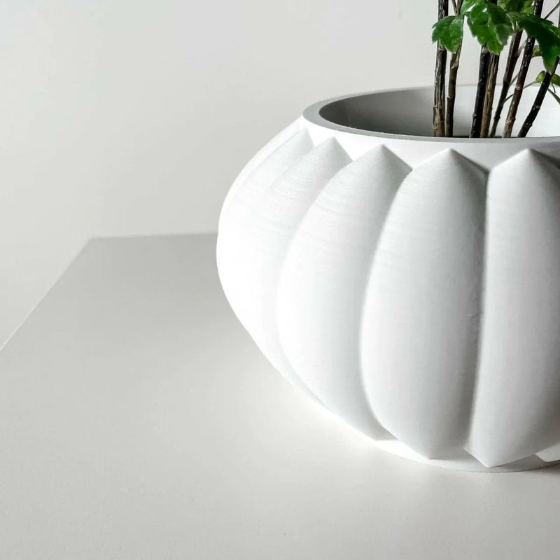 Vaso de Plantas Bunos